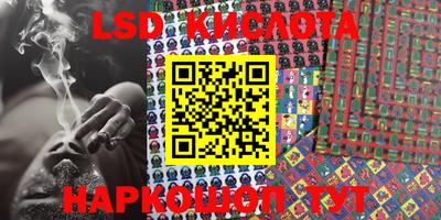 mdpv Новодвинск