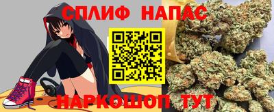 mdpv Новодвинск