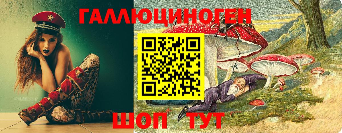 Псилоцибиновые грибы Cubensis  Вход с VPN  Тимашёвск 
